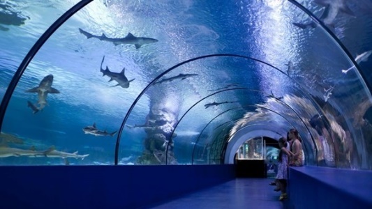 antalya-aquarium