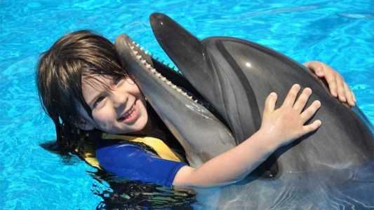 swimming-with-dolphins